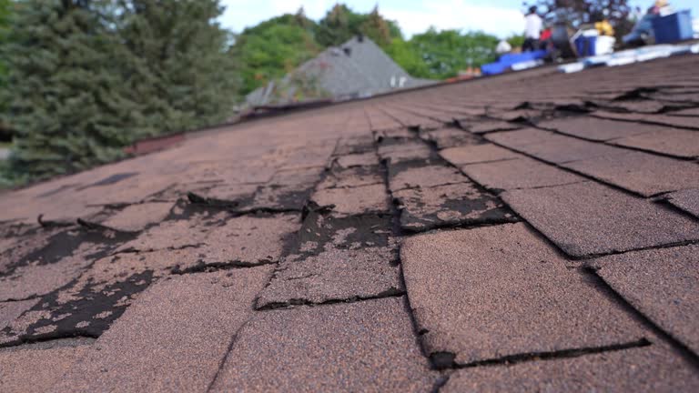 Best Storm Damage Roof Repair  in Bells, TX